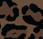 Standard / Leopard
